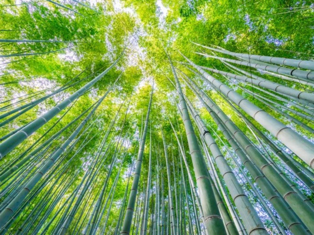 Kamakura Cocon Exterior foto